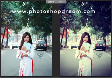 Free Photoshop Presets - 590+ Free Cinematic Photoshop Presets to Enhance Your Photography