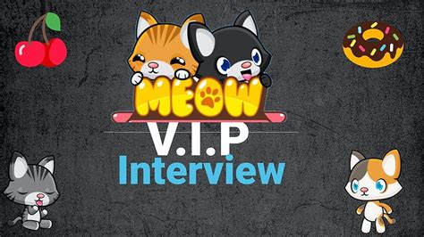 VIP Interview, meow playground HD wallpaper | Pxfuel