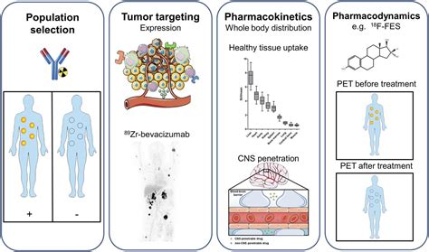 Molecular Imaging in Cancer Drug Development | Journal of Nuclear Medicine