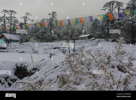 beautiful snow covered yumthang valley in winter season, scenic ...