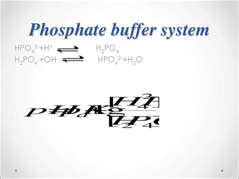 Phosphate Buffer System Equation