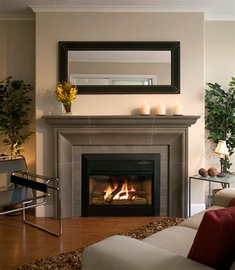 Contemporary Gas Fireplace Designs with Fascinating Decorations Ideas ...