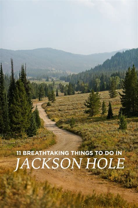 Jackson hole camping – Artofit