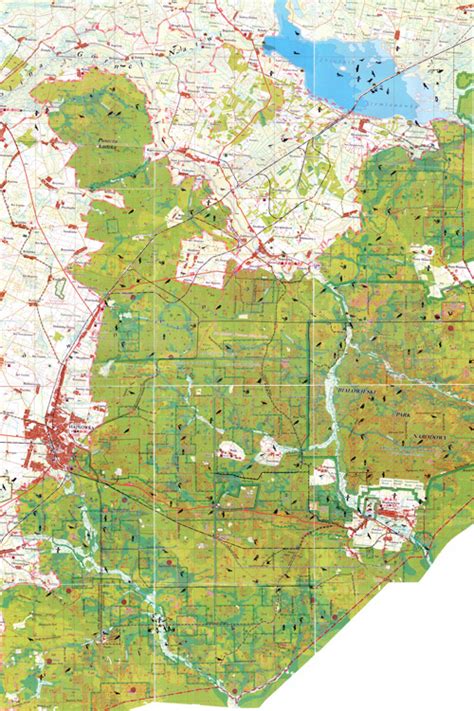 Białowieża Forest Paper Map – Wild Poland