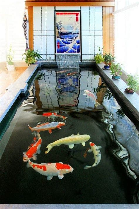 Indoor Water Garden With Fish