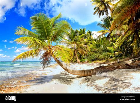 Tropical Scenery High Resolution Stock Photography and Images - Alamy