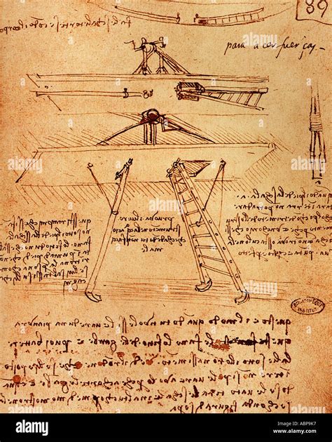 Leonardo Da Vinci Flying Machine