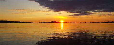 Bioluminescence Kayak Tours San Juan Island - Discovery Sea Kayaks