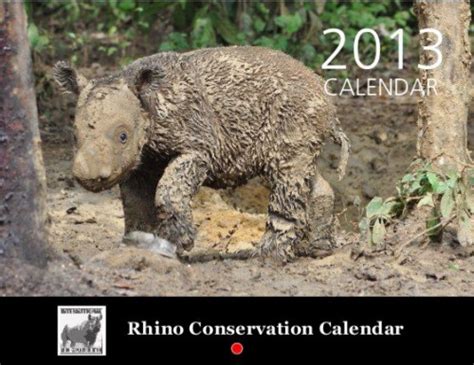 Support Sumatran Rhino Conservation with a 2013 Rhino Calendar :: ANNAMITICUS