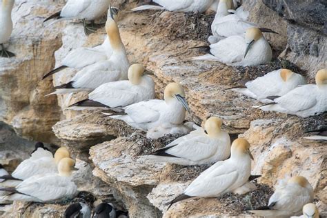 Wild Orkney in autumn | Orkney.com