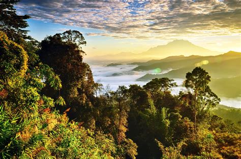 9 Top Destinations in Malaysian Borneo