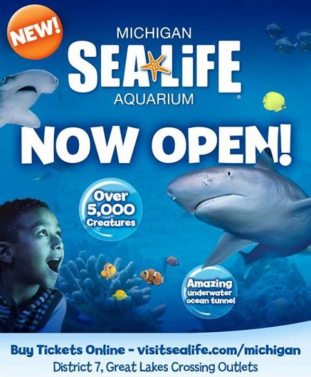 SEA LIFE Michigan Aquarium, Just Over the Border and Waiting to Be Seen... {GIVEAWAY ALERT ...