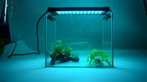 The 7 Best LED Aquarium Lighting - Fish Tank Lights Guide 2019