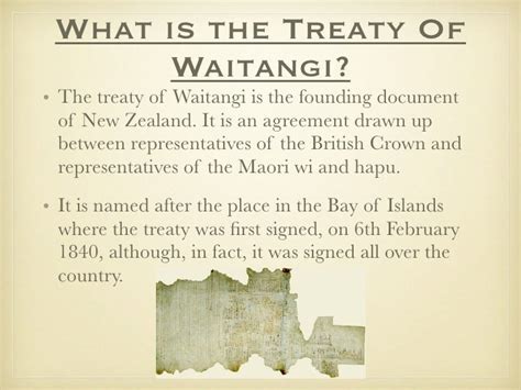 Wendy's Treaty of waitangi (national conflict)