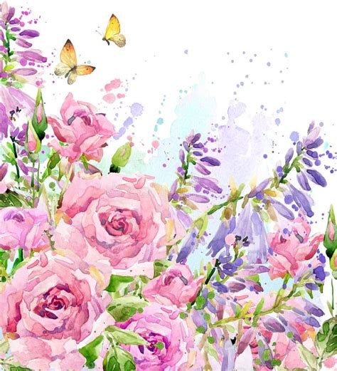 Watercolor Garden Flower. Watercolor Rose Illustration. Watercolor Flower Background. Stock ...