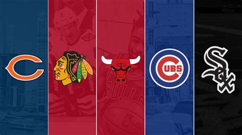 Chicago's Professional Sports Teams | Chicago Beautiful