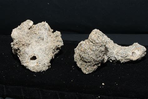 2 Fulgurite Lightning Sand Glass Tubes 4 to 5 Inches Natural - Etsy