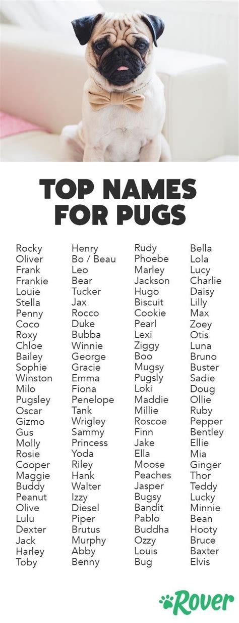 Pin by Dani Gar Alb on MICA635OFICIAL | Pug puppies, Baby pugs, Pet names for dogs