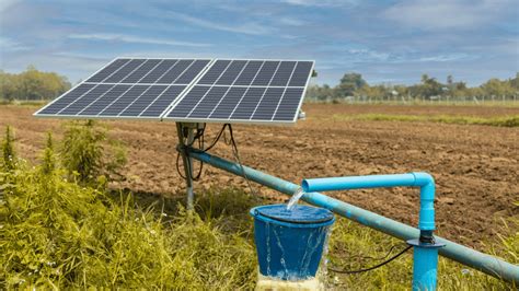 10 Best Solar Powered Water Pumps of 2024 (2024) - EcoWatch