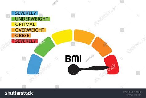 BMI categories chart, body mass index and scale - Royalty Free Stock Vector 2269577949 - Avopix.com