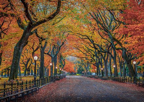 Fotos von New York City USA Natur Herbst Parks Bäume