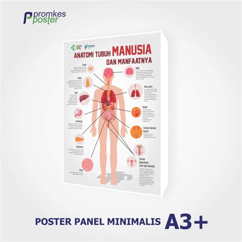 Jual Poster Bingkai Panel A3+ Custom Laminating | Shopee Indonesia