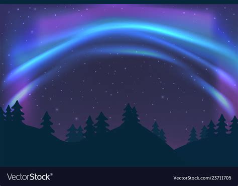 Night sky with aurora over spruce forest in winter