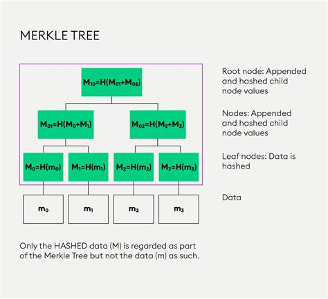 Everything you need to know about Merkle trees — Bitpanda Academy