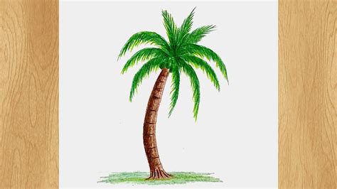 Draw a Coconut Tree I Coconut Tree Drawing Tutorial Tree Drawing For ...