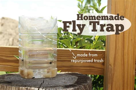 Homemade Fly Trap | The Prairie Homestead