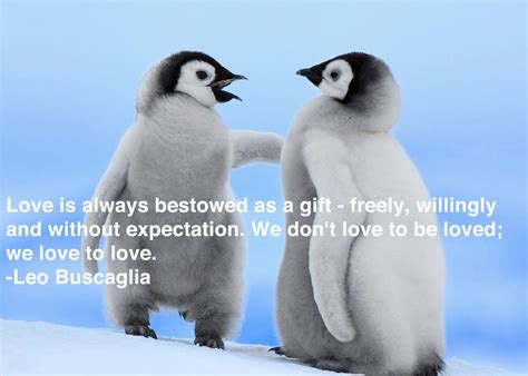 Penguin Love Quotes. QuotesGram