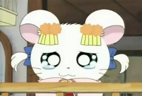 The Tale of Princess Bijou | The Hamtaro Wiki | Fandom powered by Wikia