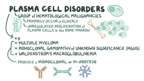 Plasma cell disorders: Clinical: Video & Anatomy | Osmosis