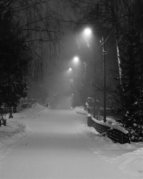 Snowing at night | Winter scenery, Snow night, Winter landscape