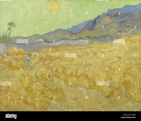 Vincent van Gogh Wheatfield with a reaper Stock Photo - Alamy