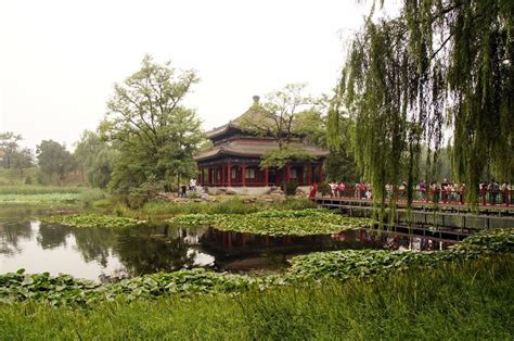 imperial gardens china - Google Search | Imperial gardens, Garden ...