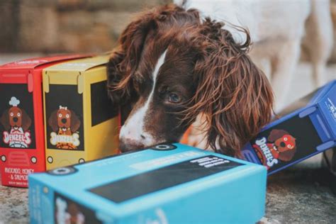 Dog Subscription Boxes: Surprising Your Pup With Monthly Fun