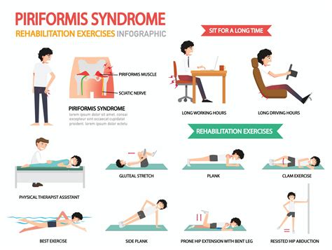 piriformis syndroom revalidatie oefeningen infographic 3239840 Vectorkunst bij Vecteezy