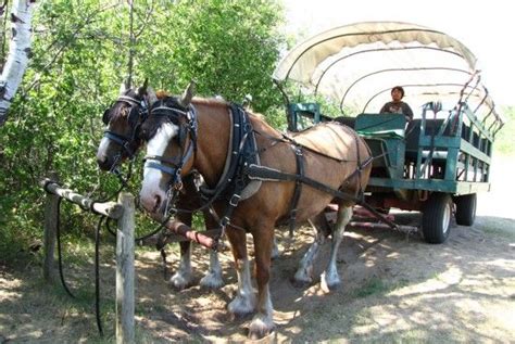 Why Were the Carberry Sandhills in Manitoba Important in WWI and WWII? | Adventure travel ...