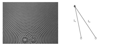 Solved Describe the pattern produced by the interfering | Chegg.com