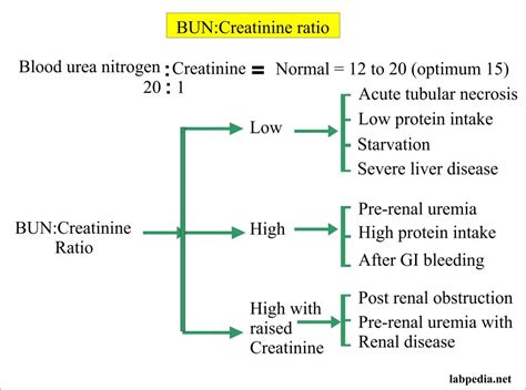 Blood urea nitrogen/Creatinine ratio (BUN/Creatinine ratio) – Labpedia.net