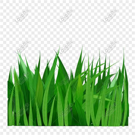 Cartoon A Green Grass, Grass Illustration, Cartoon Lawn, Plant PNG ...