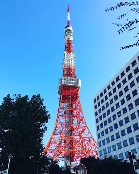 EVACOMICS BLOG: Tokyo One Piece Tower