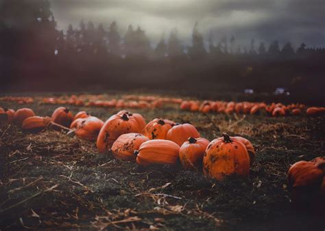 How to Celebrate Halloween in the Czech Republic This Year ...