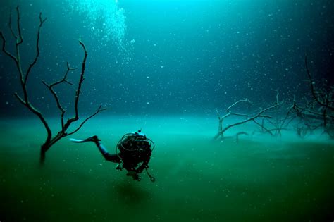 Underwater River- Cenote Angelita