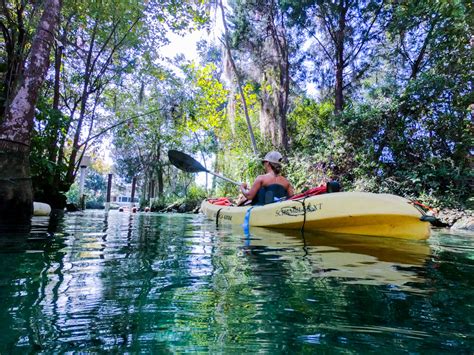 Swim with the Manatees in Three Sisters Springs, Crystal River, FL ...