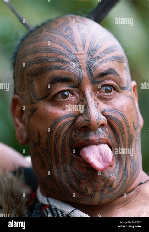 MAORI WITH TONGUE OUT with traditional facial tattoo (moko) and authentic costume, New Zealand ...