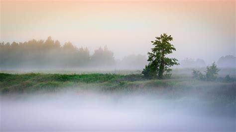 Morning on the Warta river - part III on Behance