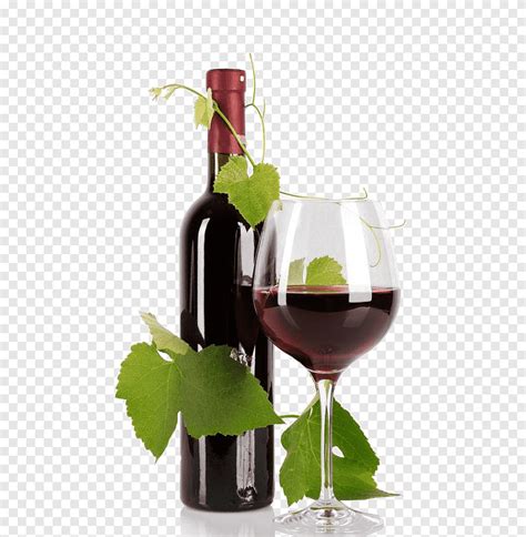 Ilustracja butelka wina i kieliszek do wina, butelka czerwonego wina Common Vine Vine, czerwone ...