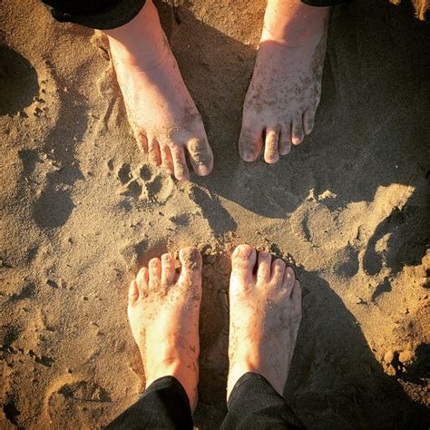 Free Images : hand, beach, sand, feet, leg, finger, foot, human body, footwear 2212x2212 ...